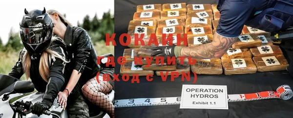 индика Армянск